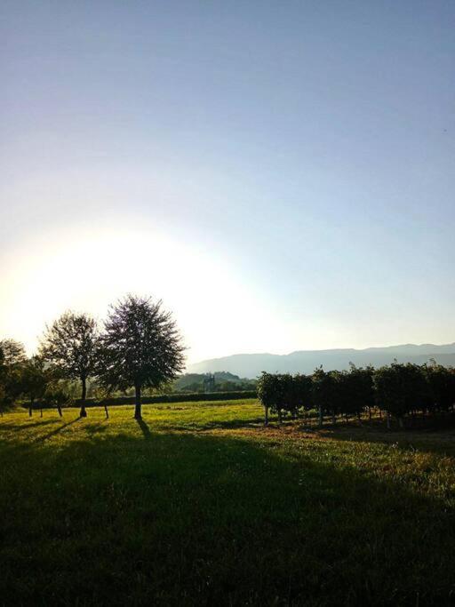 페데로바 Relax Nelle Colline Del Prosecco 아파트 외부 사진